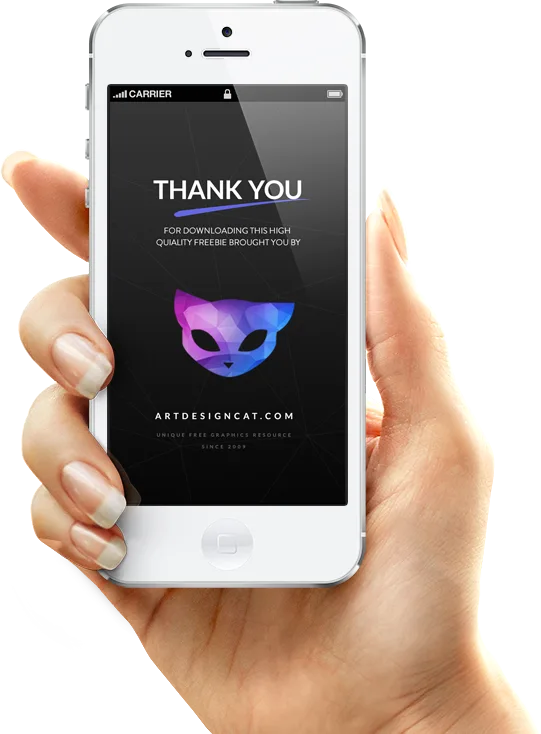 Application Mockup